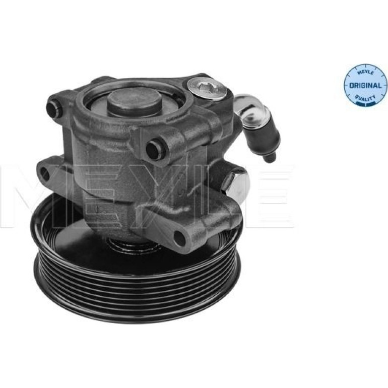Servopumpe Ford Transit 04/06 7146310024 Servopumpe Ford Transit 04/06 7146310024