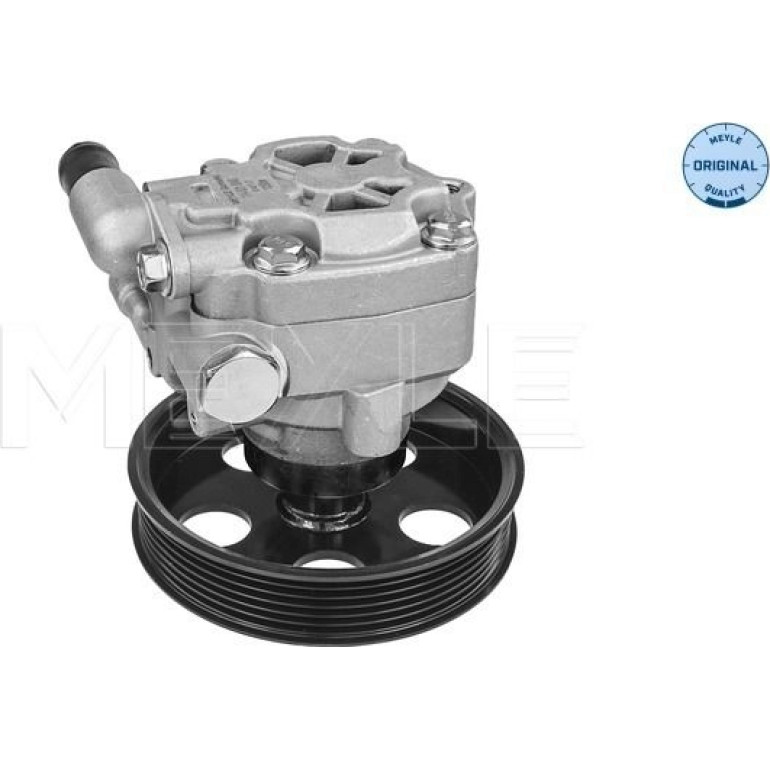 Servopumpe Audi A4/A5 B8 Tfsi 07 1146310040 Servopumpe Audi A4/A5 B8 Tfsi 07 1146310040