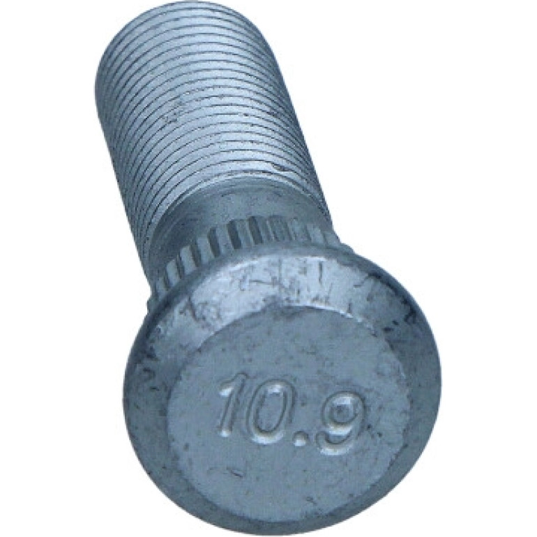 Radbolzen 49-5101 Radbolzen 49-5101