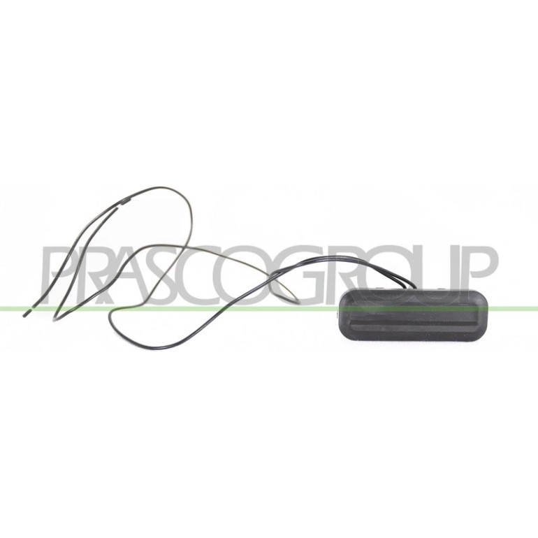 HECKKLAPPENGRIFF MIT TASTER 2-PIN 4641,245,1 HECKKLAPPENGRIFF MIT TASTER 2-PIN 4641,245,1
