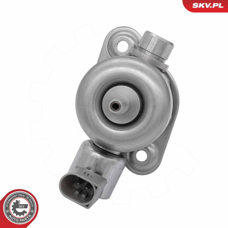 ESEN SKV Hochdruckpumpe 02SKV950