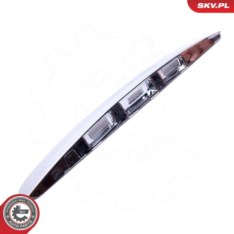 ESEN SKV Clip, Zier-/Schutzleiste 96SKV825 ESEN SKV Clip, Zier-/Schutzleiste 96SKV825