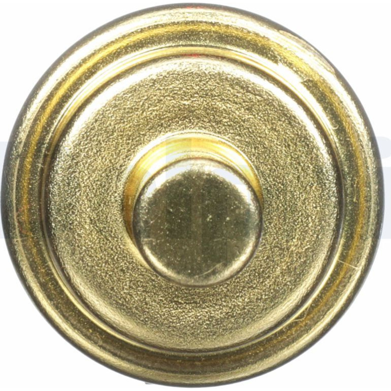 DELPHI Temperatursensor TS10278