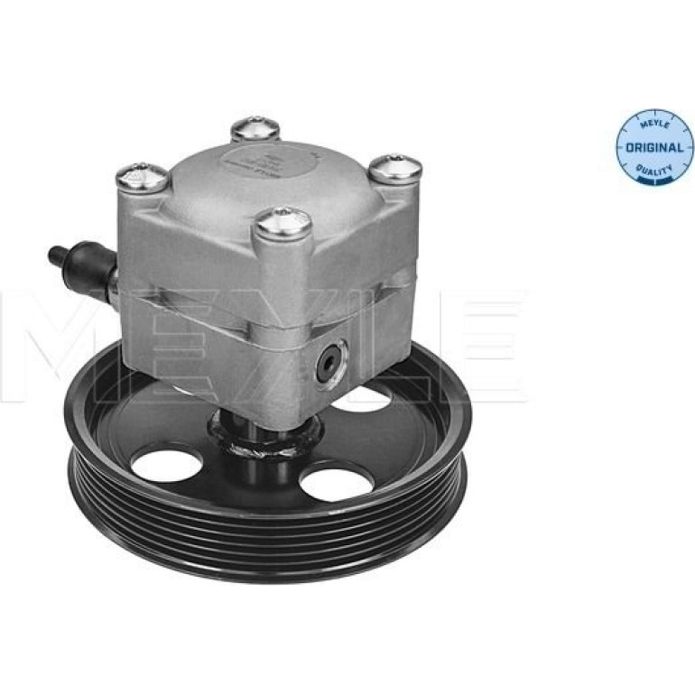 Servopumpe Volvo S60/V70 00 5146310012 Servopumpe Volvo S60/V70 00 5146310012