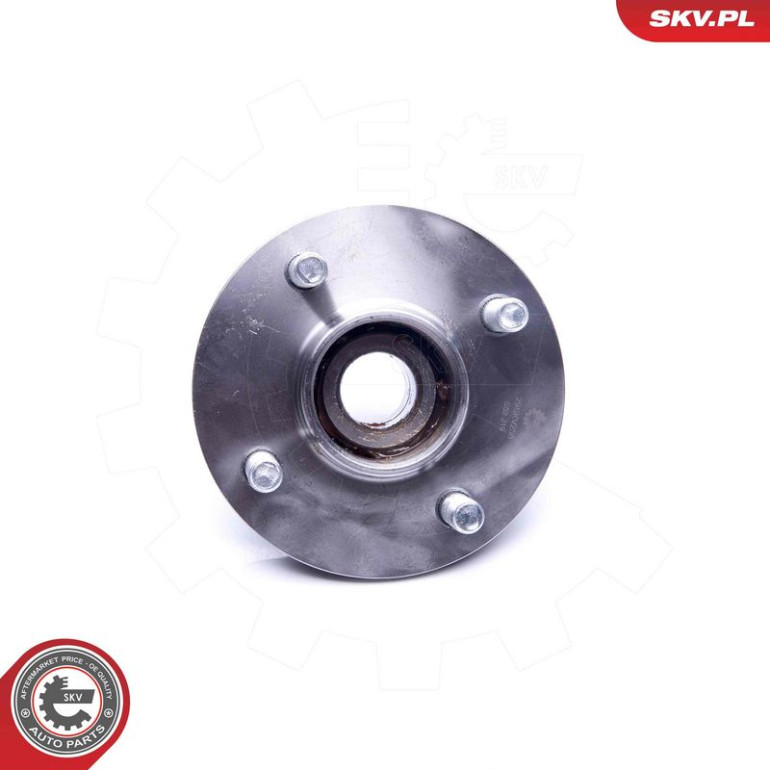 ESEN SKV Radlagersatz 29SKV208 ESEN SKV Radlagersatz 29SKV208
