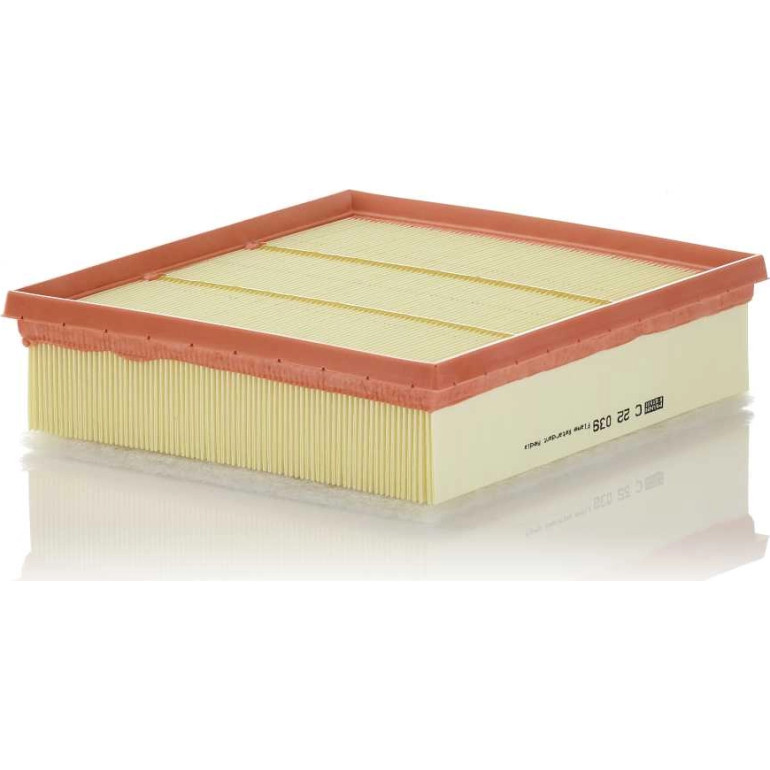 Mann & Hummel Luftfilter PKW C 22 039