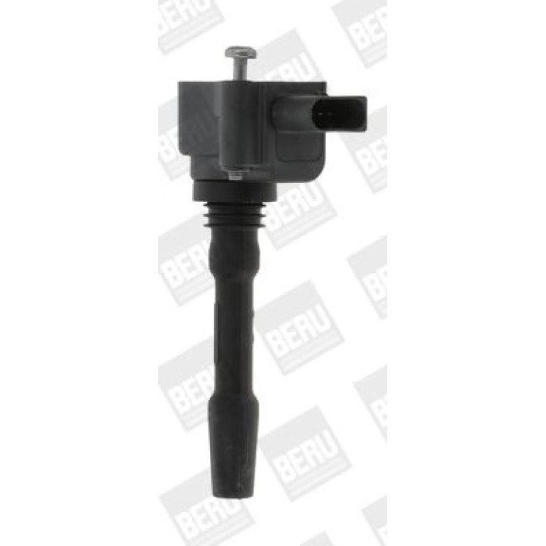 BorgWarner (BERU) Zündspule ZSE163 BorgWarner (BERU) Zündspule ZSE163