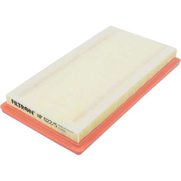 FILTRON Luftfilter AP 022/5