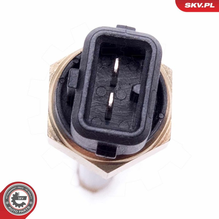ESEN SKV Sensor, Motorölstand 17SKV772