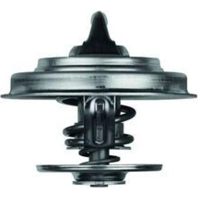 Thermostateinsatz mit Dichtung TX 18 87D
