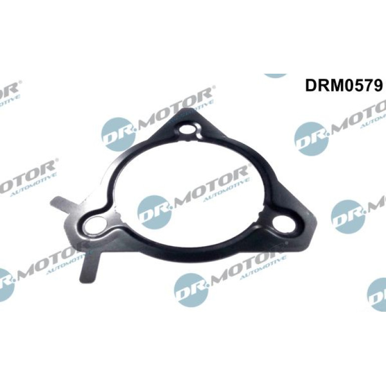 Dichtung, Einspritzpumpe DRM0579