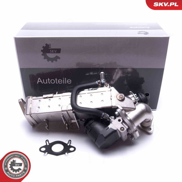 ESEN SKV AGR-Ventil 14SKV234 ESEN SKV AGR-Ventil 14SKV234