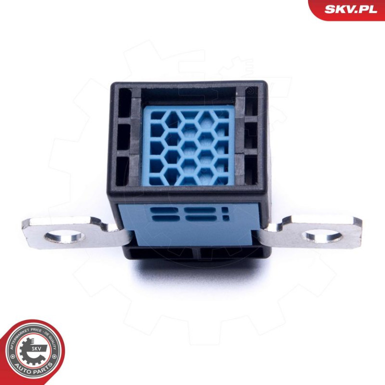ESEN SKV Sensor, Batteriemanagement 96SKV319 ESEN SKV Sensor, Batteriemanagement 96SKV319