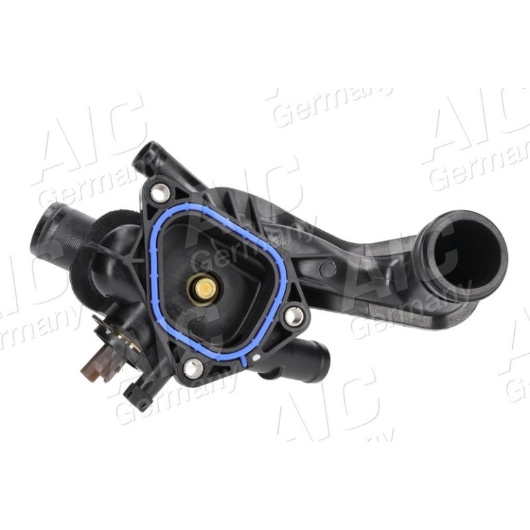 Thermostat 55717