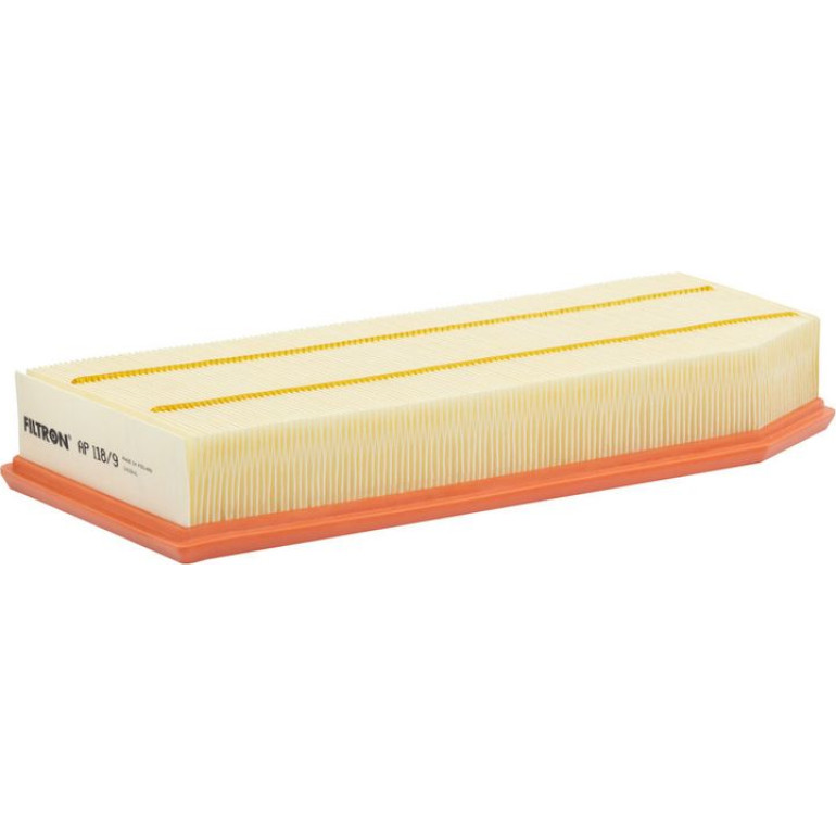 FILTRON Luftfilter AP 118/9