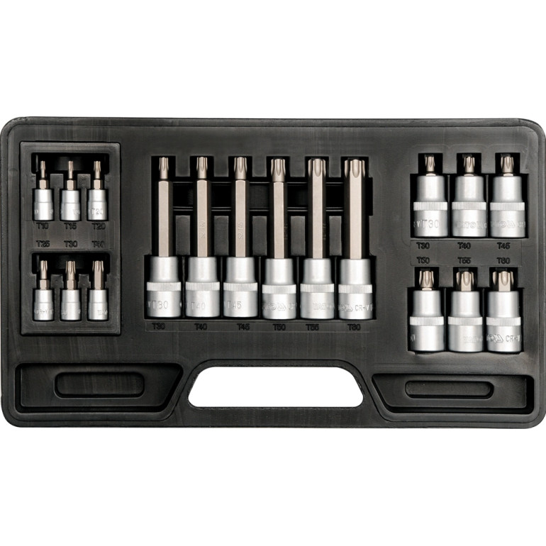 Biteinsatz-Sortiment 18. St. Torx T10-T60mm YT-7751