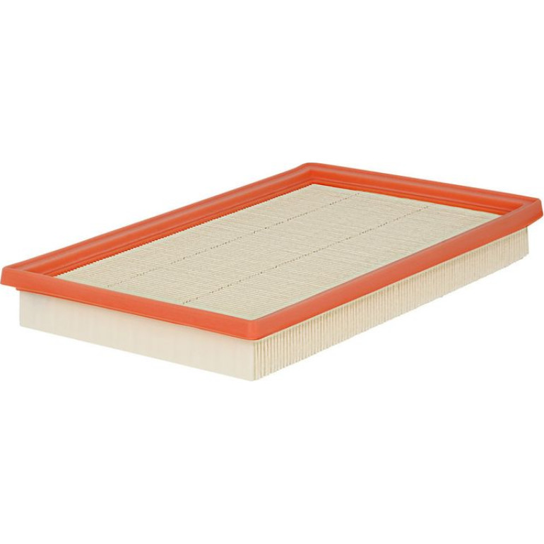 FILTRON Luftfilter AP 173/4