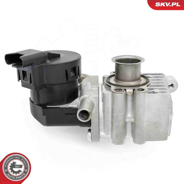 ESEN SKV AGR-Ventil 14SKV283 ESEN SKV AGR-Ventil 14SKV283