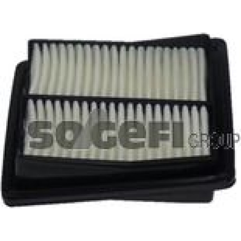 FRAM Luftfilter CA10233 FRAM Luftfilter CA10233