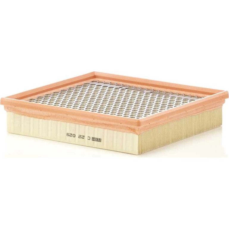 Mann & Hummel Luftfilter PKW C 22 029