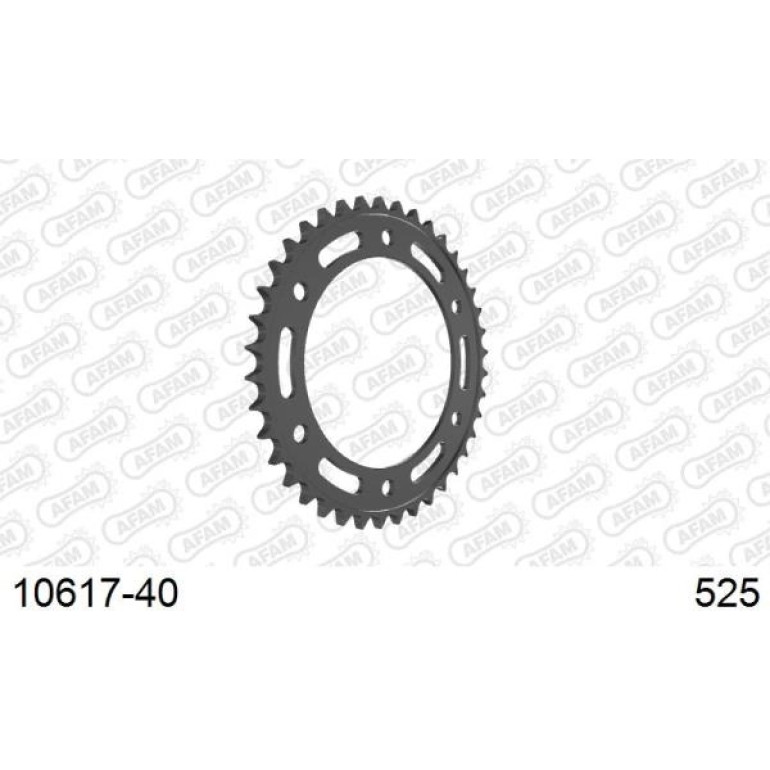 AFAM Kettenrad STAHL 40 Zähne 10617-40 AFAM Kettenrad STAHL 40 Zähne 10617-40